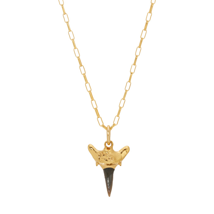 Shark Tooth Necklace by Erin Fader Jewelry