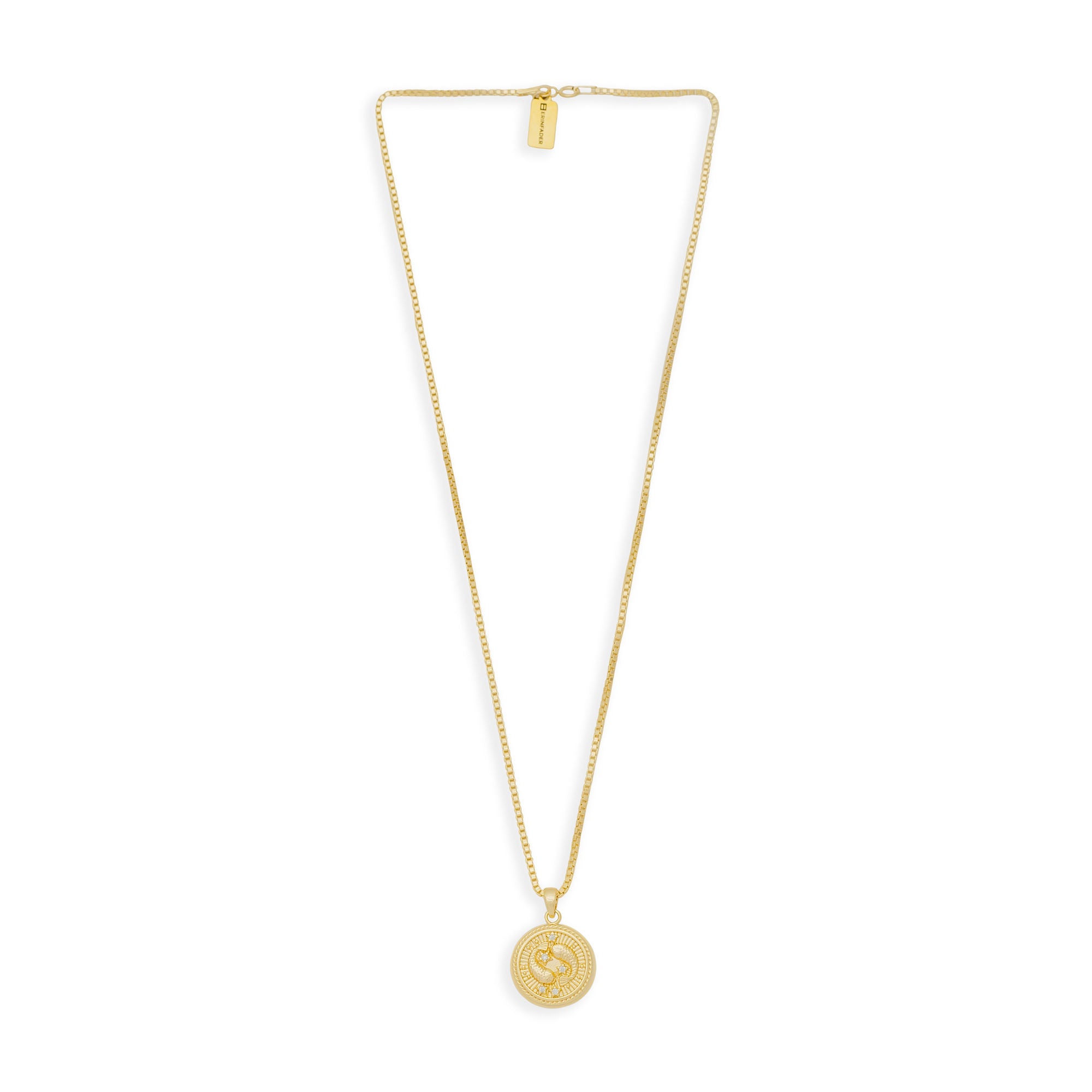 In the Stars Zodiac Necklace from Erin Fader Jewelry