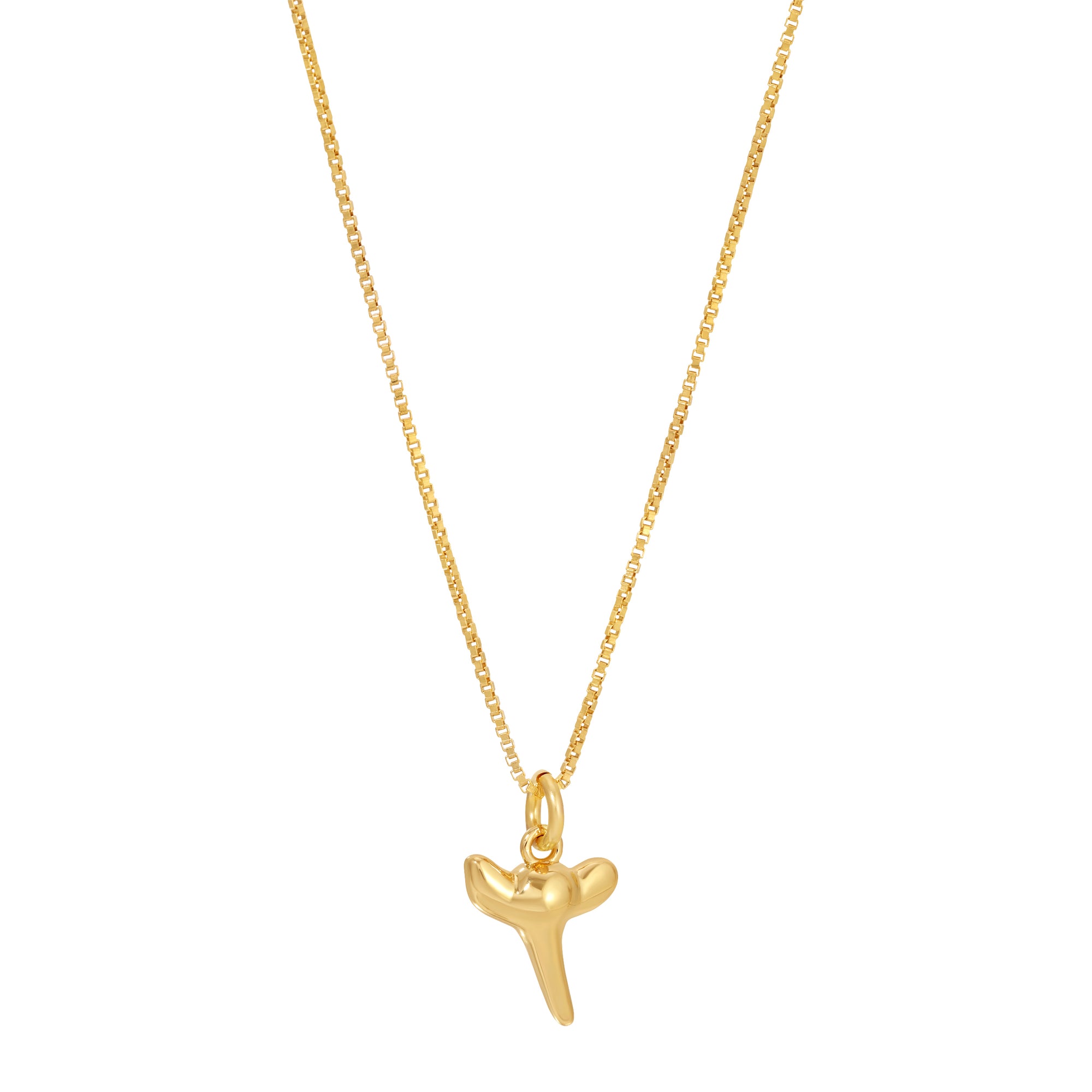 Shark Tooth Charm Necklace by Erin Fader Jewelry