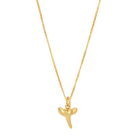 Shark Tooth Charm Necklace by Erin Fader Jewelry