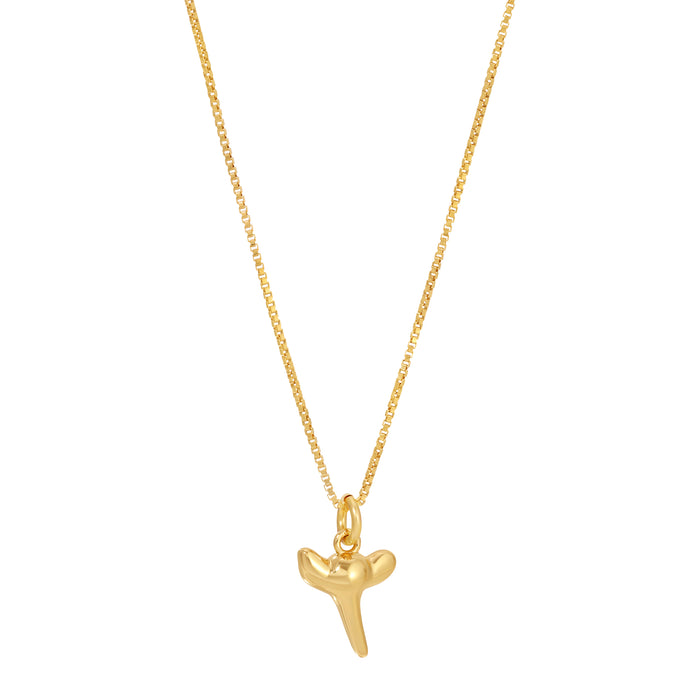Shark Tooth Pendant Necklace by Erin Fader Jewelry