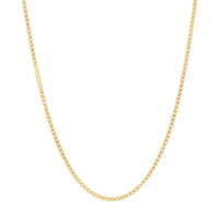 14K Gold Filled Box Chain Necklace from Erin Fader Jewelry