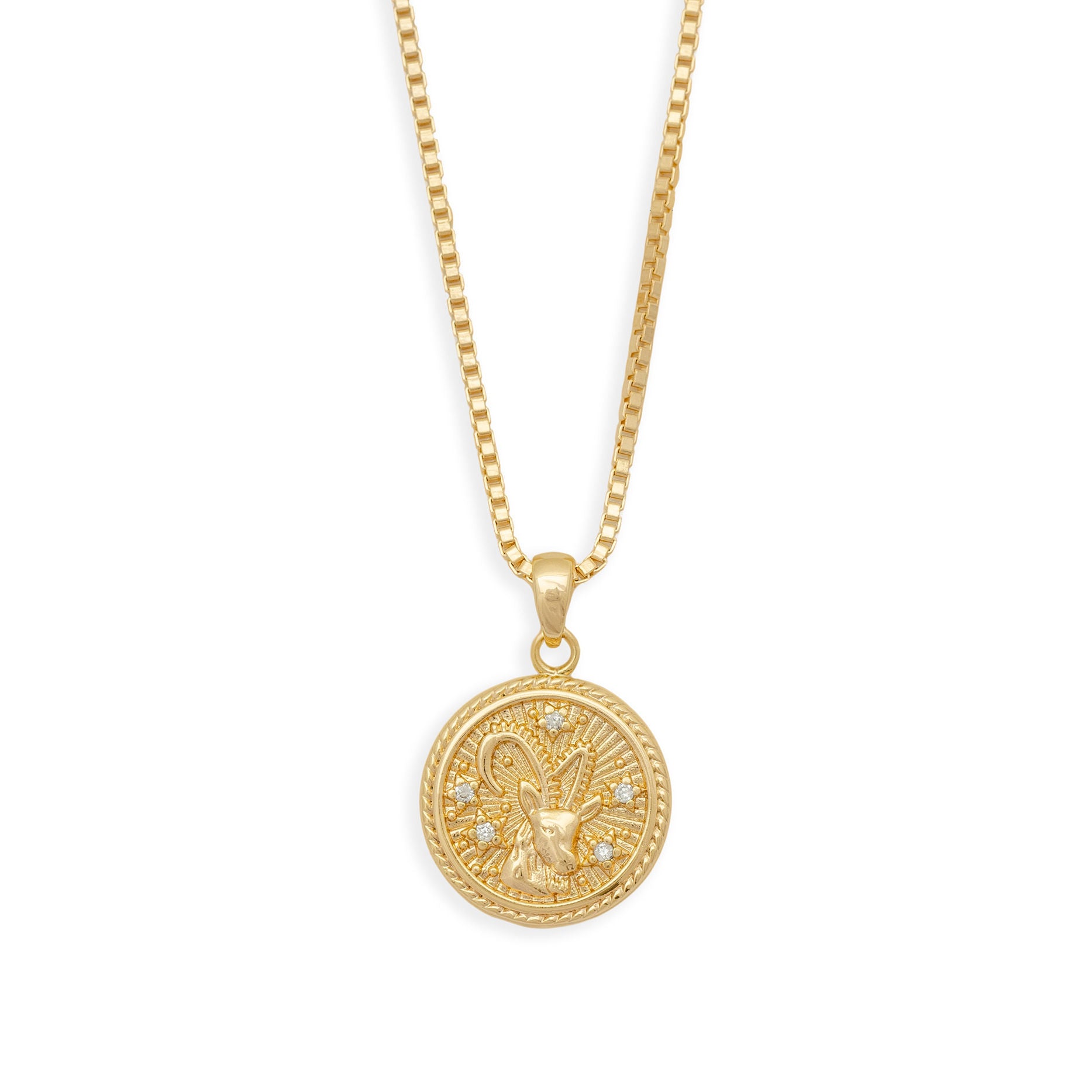 In the Stars Zodiac Necklace - Capricorn from Erin Fader Jewelry